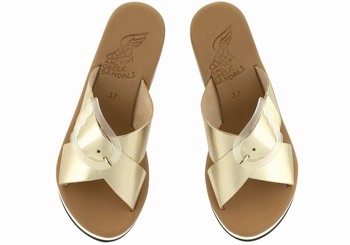 Women Ancient Greek Sandals Thais Rainbow Wedge Sandals Gold White | TIQ4017DT