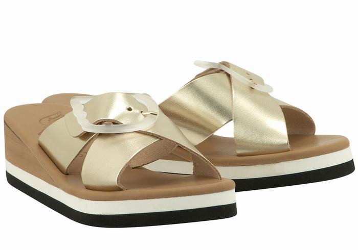 Women Ancient Greek Sandals Thais Rainbow Wedge Sandals Gold White | TIQ4017DT