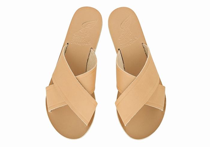 Women Ancient Greek Sandals Thais Slide Sandals Beige | VHN1376KR