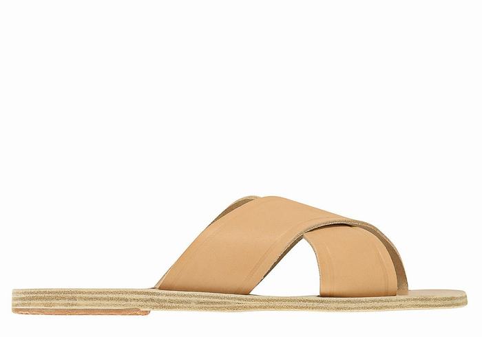 Women Ancient Greek Sandals Thais Slide Sandals Beige | VHN1376KR