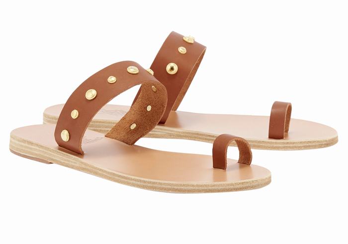 Women Ancient Greek Sandals Thalia Bee Toe-Post Sandals Dark Brown | YKL1688XQ