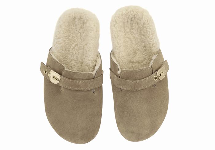 Women Ancient Greek Sandals Vasilitsa Slippers Grey Brown | UFF6184LG