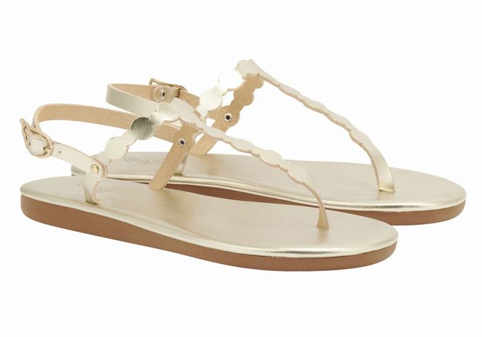 Women Ancient Greek Sandals Velos Flip Flop Back-Strap Sandals Gold White | QAZ842KM