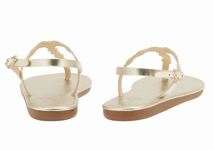 Women Ancient Greek Sandals Velos Flip Flop Back-Strap Sandals Gold White | QAZ842KM