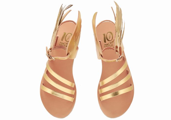 Women Ancient Greek Sandals Victory Of Samothrace Ankle Strap Sandals Gold | CWC9425KP