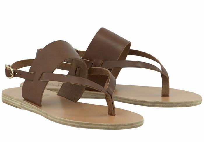 Women Ancient Greek Sandals Zoe Flip Flop Leather Back-Strap Sandals Dark Brown | XWC4811UL