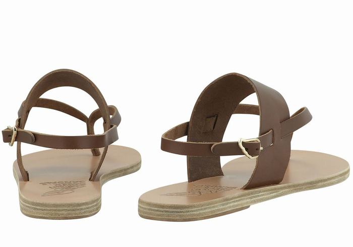 Women Ancient Greek Sandals Zoe Flip Flop Leather Back-Strap Sandals Dark Brown | XWC4811UL