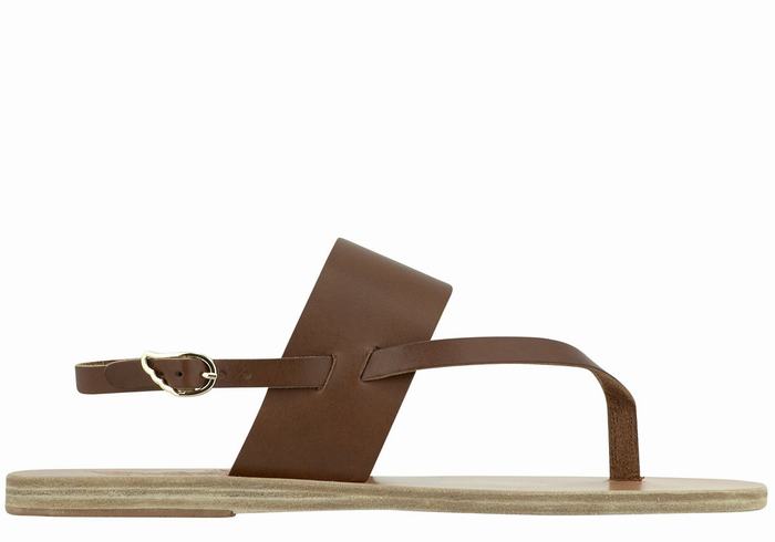 Women Ancient Greek Sandals Zoe Flip Flop Leather Back-Strap Sandals Dark Brown | XWC4811UL